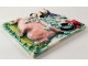 Cat in the Tub ceramic tile
