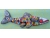 fish_multicolored.jpg