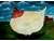painting_folk_chicken.jpg