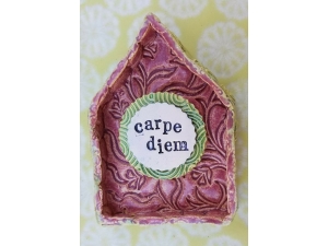 Carpe Diem House Dwelling