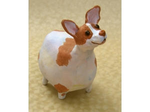 Brown and White Chihuahua